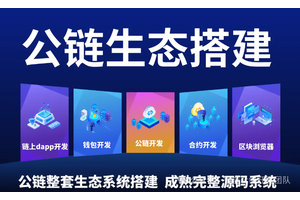 公链开发核心技术：共识、账本、P2P